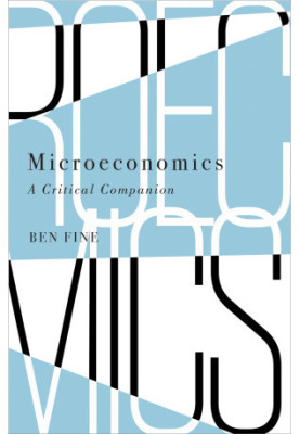 Microeconomics: A Critical Companion