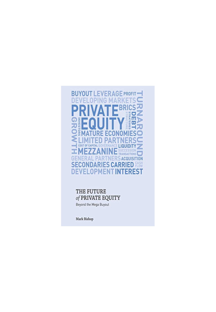 The Future of Private Equity: Beyond the Mega Buyout