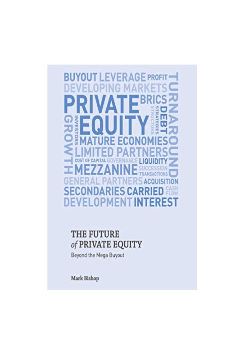 The Future of Private Equity: Beyond the Mega Buyout