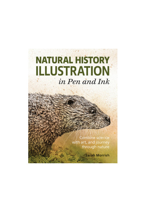 Natural History Illustration in Pen and Ink