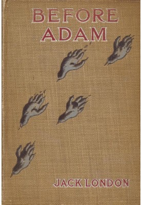 Before Adam