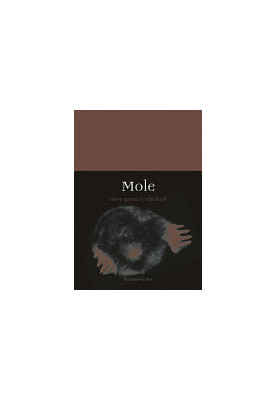 Mole