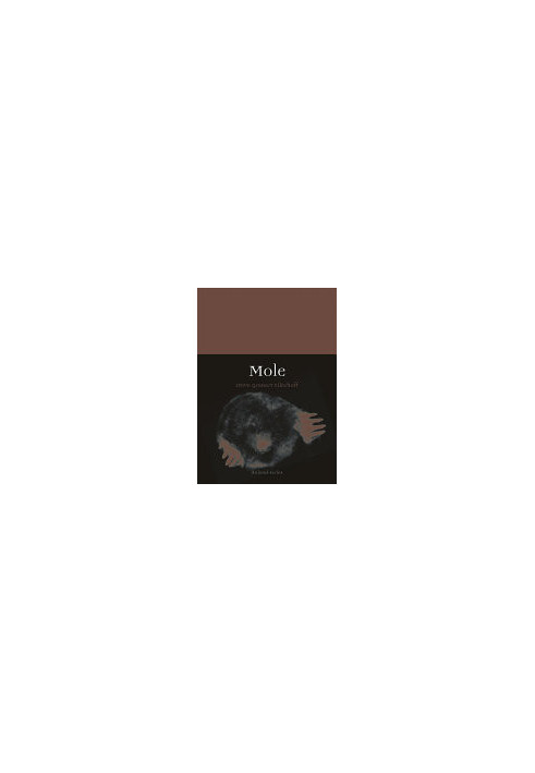Mole