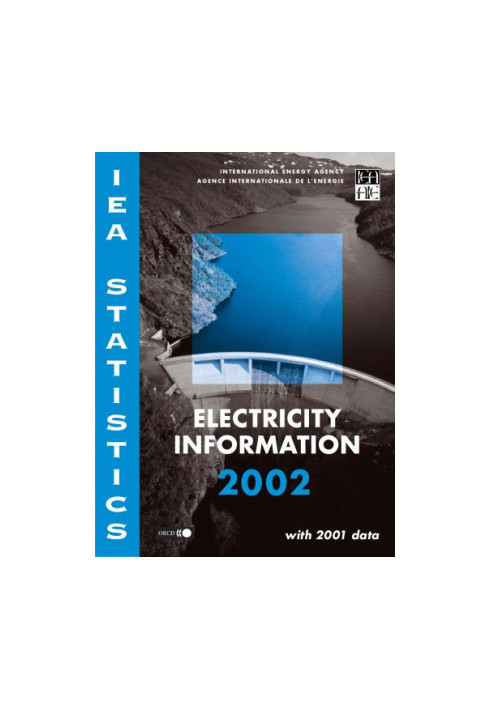 Electricity Information 2002