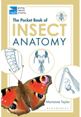 The Pocket Book of Insect Anatomy
