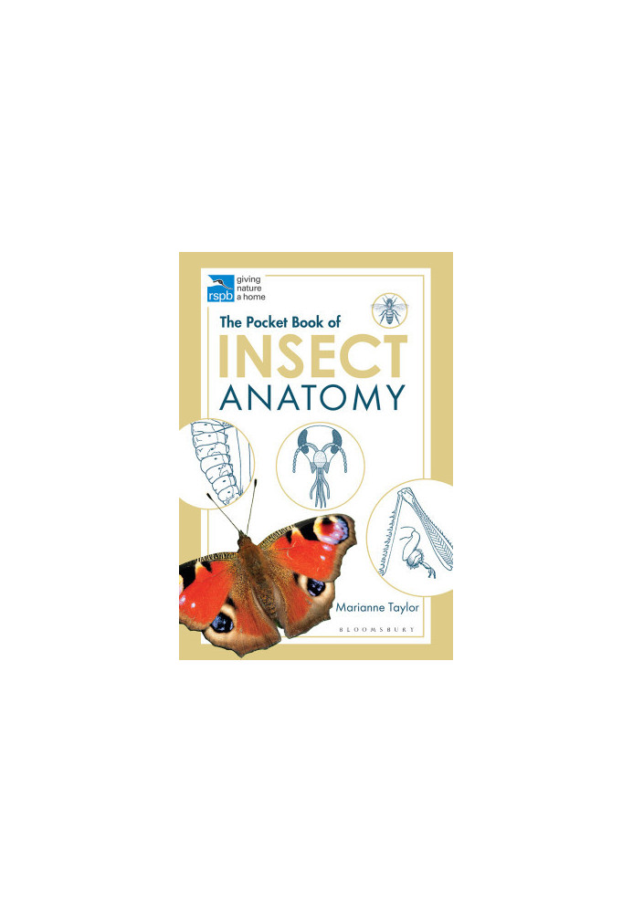 The Pocket Book of Insect Anatomy