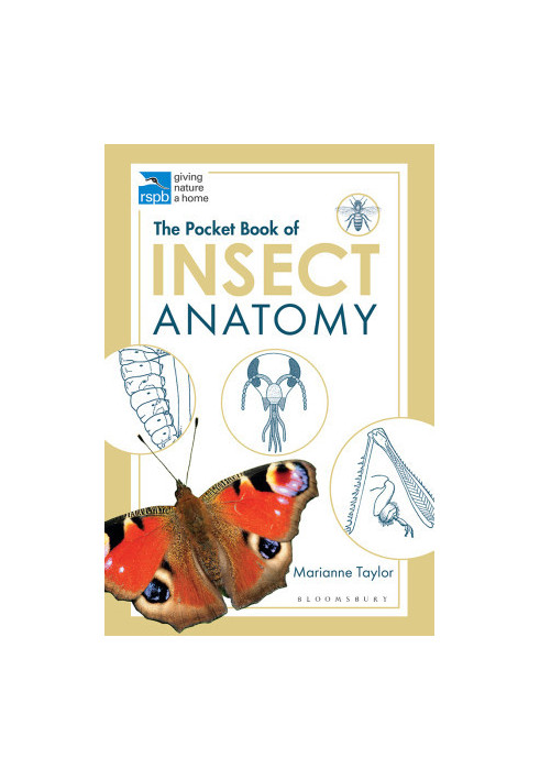 The Pocket Book of Insect Anatomy