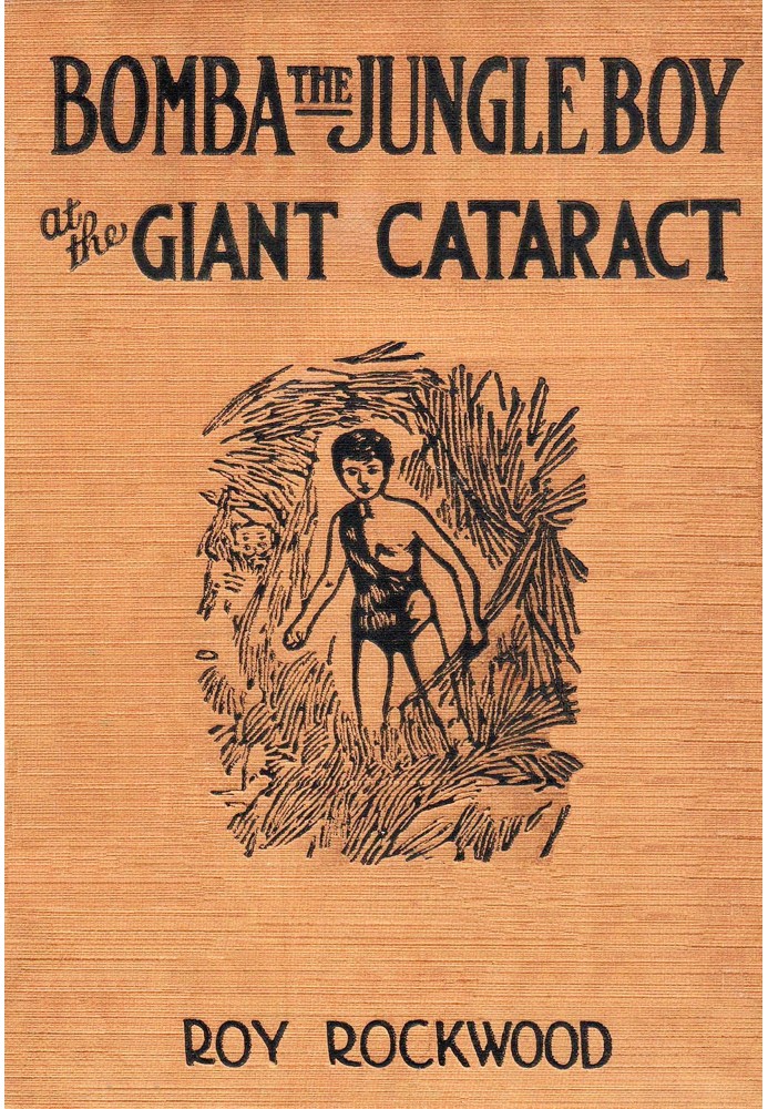 Bomba the jungle boy at the giant cataract : $b Or, Chief Nascanora and his captives