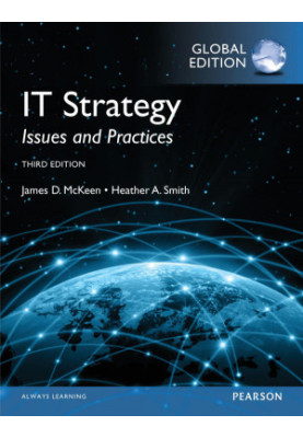 IT strategy - issues and practices