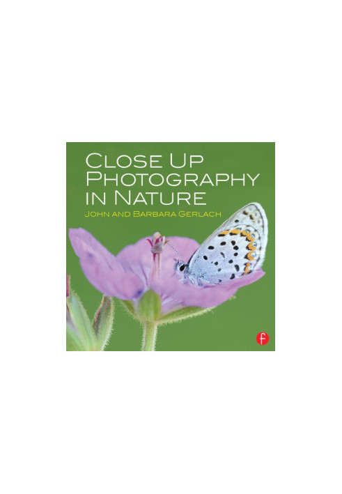 Close up photography in nature