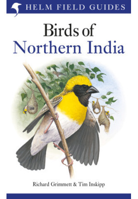 Birds of Northern India