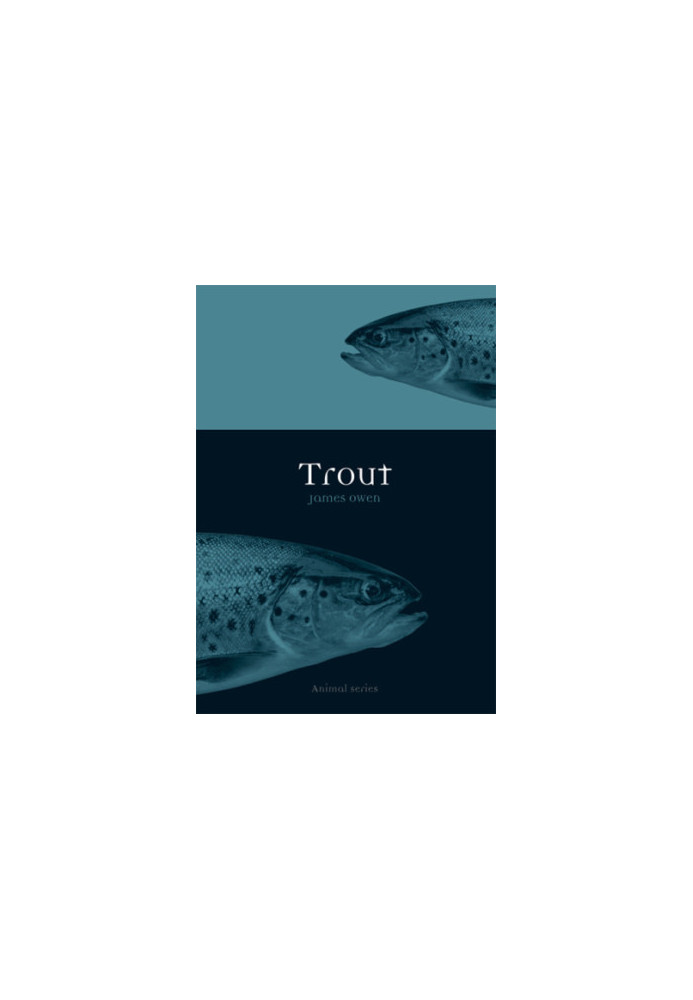 Trout