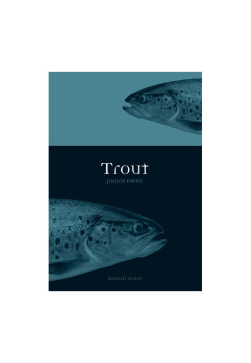 Trout