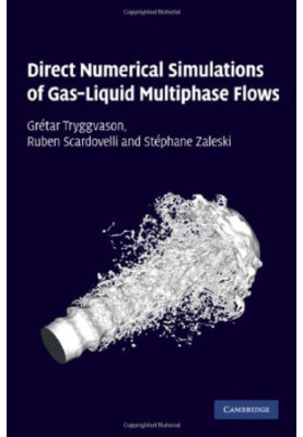Direct Numerical Simulations of Gas-Liquid Multiphase Flows