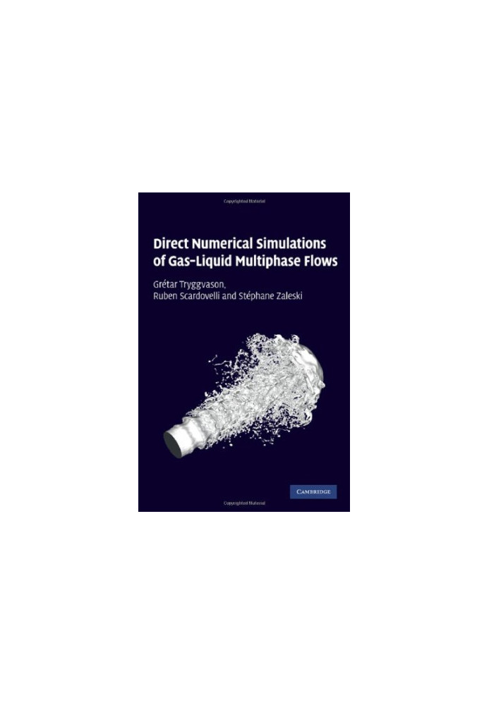 Direct Numerical Simulations of Gas-Liquid Multiphase Flows