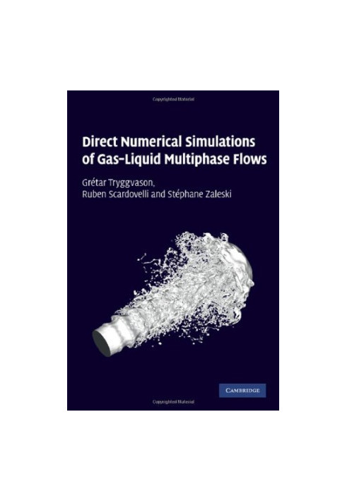 Direct Numerical Simulations of Gas-Liquid Multiphase Flows