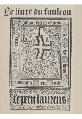 The Book of the Falcon