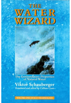 The Water Wizard