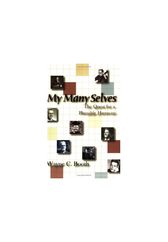 My Many Selves - The Quest for a Plausible Harmony