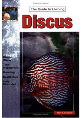 The Guide to Owning Discus