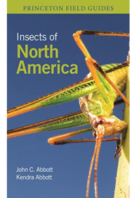 Insects of North America
