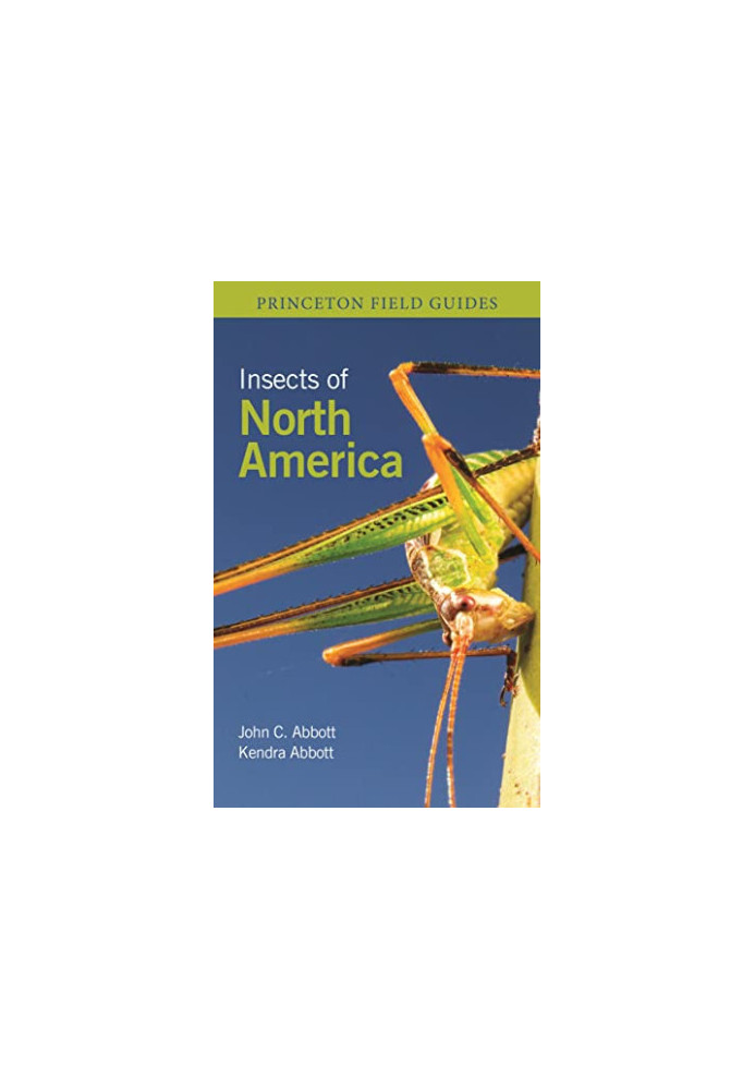Insects of North America