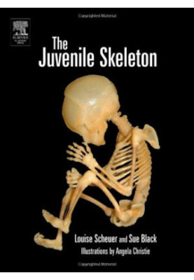 The Juvenile Skeleton