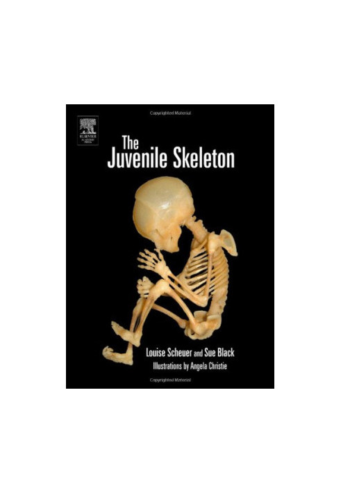 The Juvenile Skeleton