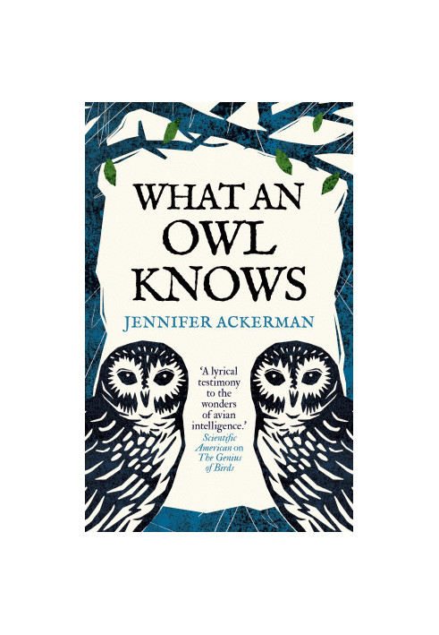 What an Owl Knows: The New Science of the World's Most Enigmatic Birds