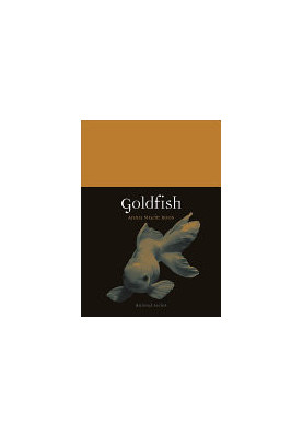 Goldfish