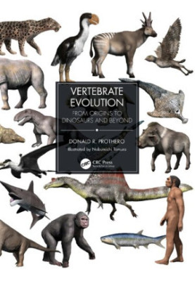 Vertebrate Evolution: From Origins to Dinosaurs and Beyond