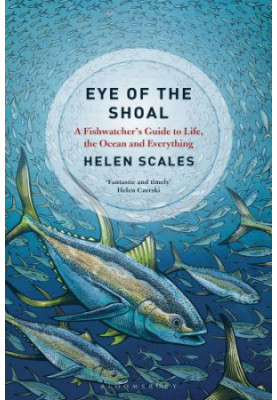EYE OF THE SHOAL: a fishwatcher's guide to life, the oceans and everything