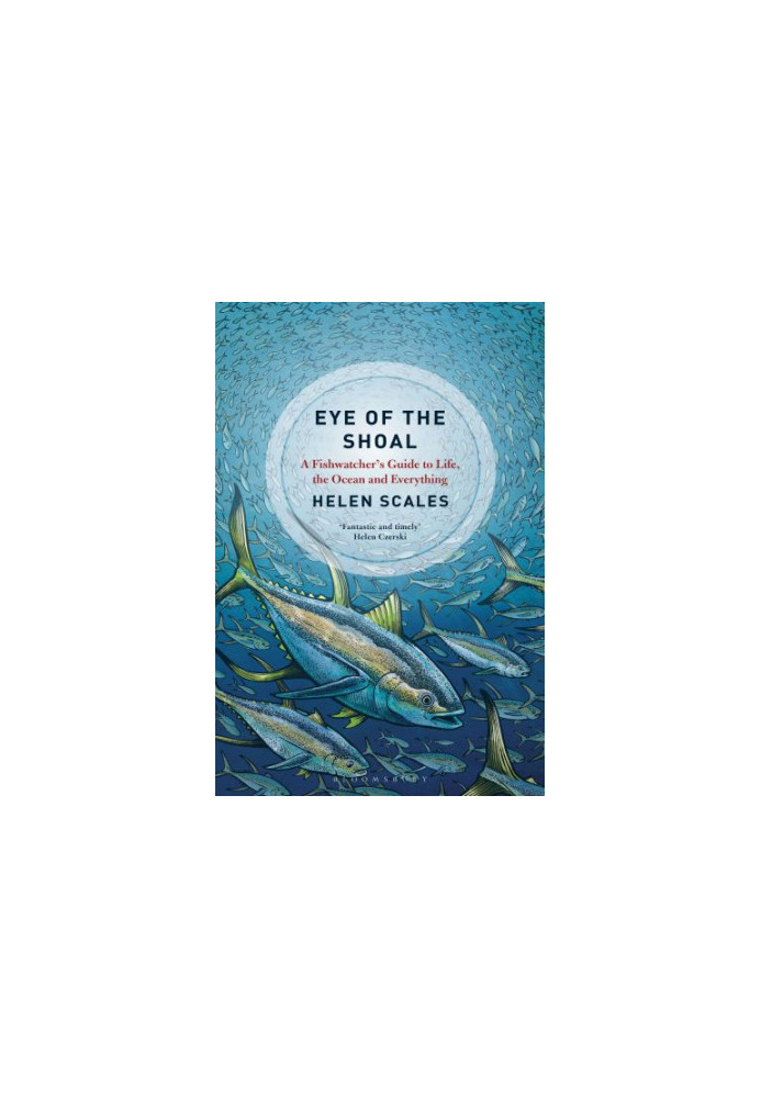 EYE OF THE SHOAL: a fishwatcher's guide to life, the oceans and everything