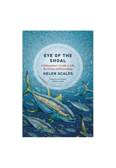 EYE OF THE SHOAL: a fishwatcher's guide to life, the oceans and everything