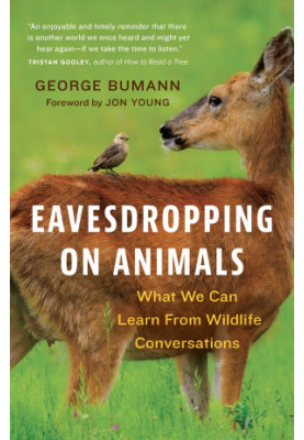 Eavesdropping on Animals: What We Can Learn From Wildlife Conversations