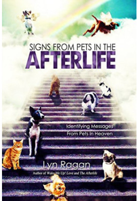 Signs From Pets In The Afterlife