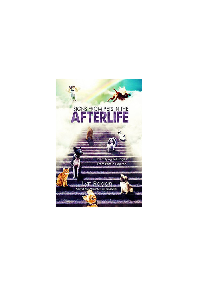 Signs From Pets In The Afterlife