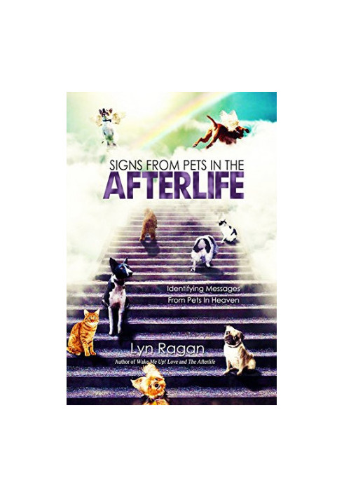 Signs From Pets In The Afterlife