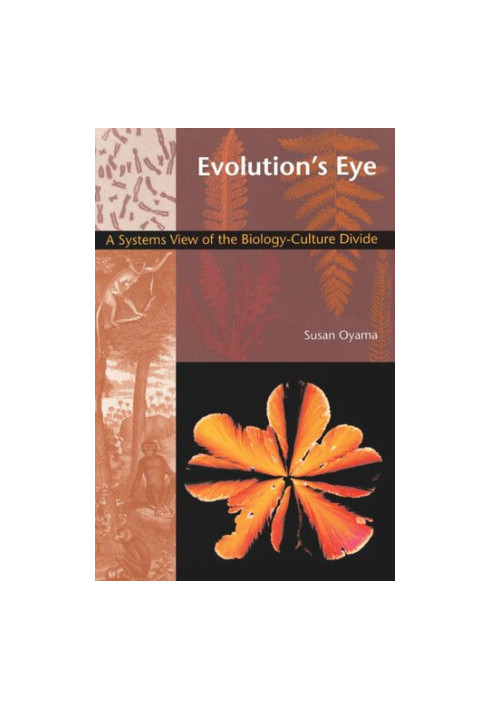 Evolution's Eye: A Systems View of the Biology-Culture Divide