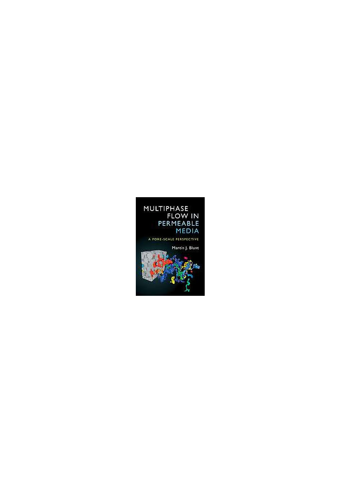 Multiphase Flow in Permeable Media - A Pore-Scale Perspective