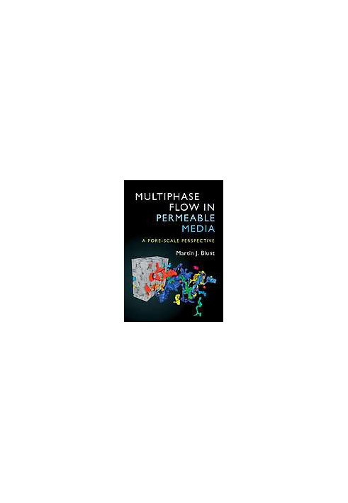 Multiphase Flow in Permeable Media - A Pore-Scale Perspective