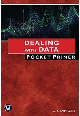 Dealing with Data Pocket Primer