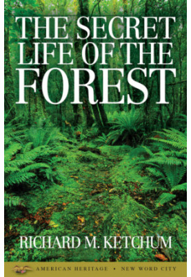 The Secret Life of the Forest