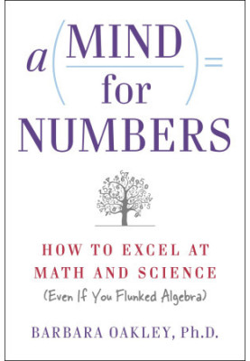 A Mind For Numbers