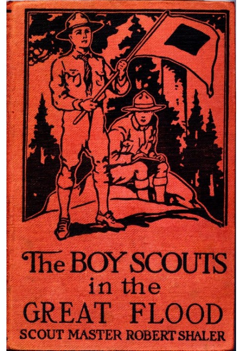 The Boy Scouts in the Great Flood