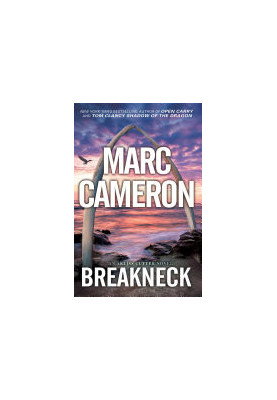 Breakneck : A Captivating Novel of Suspense
