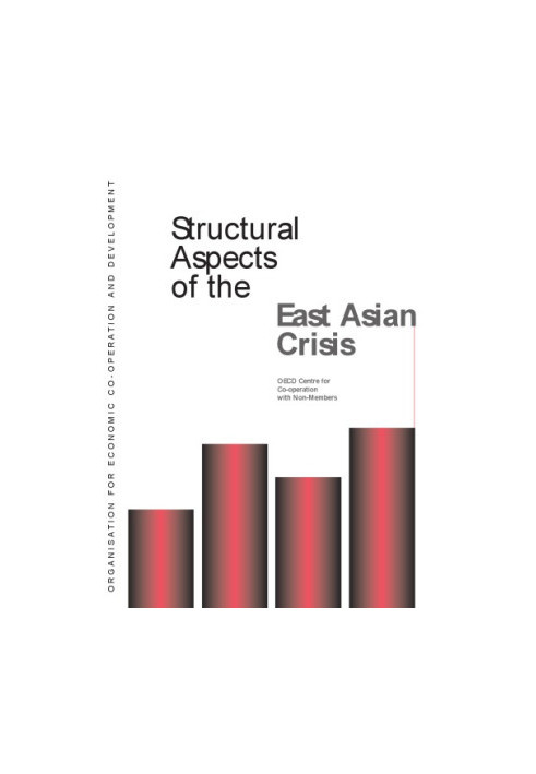 Structural aspects of the East Asian crisis
