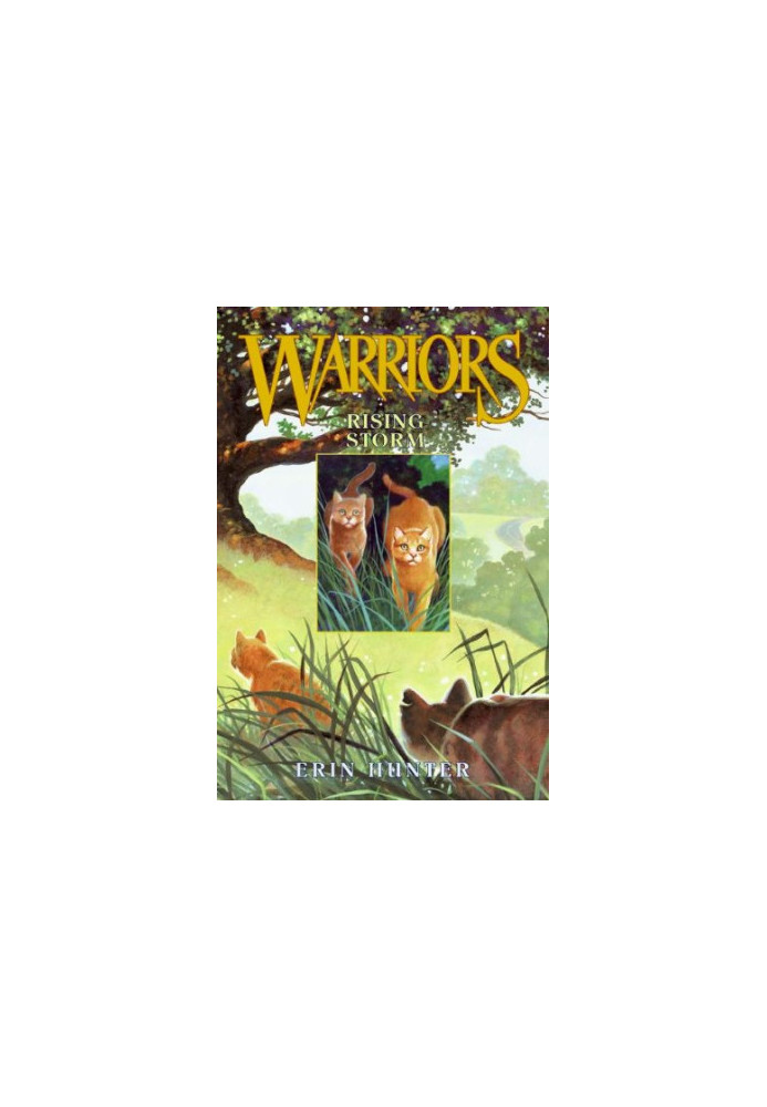 Rising Storm (Warriors, Book 4)