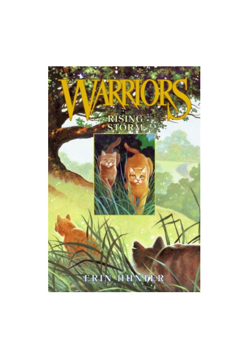 Rising Storm (Warriors, Book 4)
