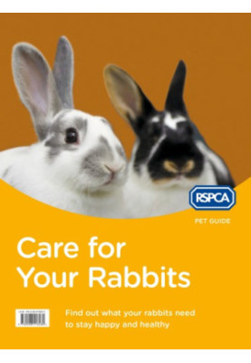 Care for Your Rabbits